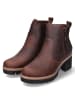 PANAMA JACK Stiefeletten PAULINE IGLOO in braun