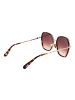 Ted Baker Frauen Sonnenbrille Quadratisch Braun