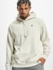 Puma Puma Hoodie in grey