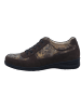 Finn Comfort Sneaker in braun