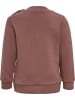 Hummel Druckknopf Sweat Anzug Hmlarine Lebensstil Kinder in NUTMEG