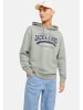 Jack & Jones Hoodie 'Logo2 Col' in hellgrün