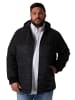 Men Plus Softshelljacke in navy blau