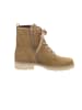 Gabor Schnür-Stiefeletten für Damen in beige
