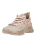Steve Madden Sneaker MISTICA Taupe/Beige