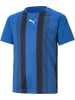 Puma Sportshirt "TeamLIGA Striped Jersey Jr" in Blau