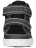 Geox Sneaker in Schwarz/Grau