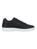 Mexx Sneaker in Schwarz