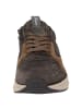 Sioux Sneaker Tasulio-702-J in braun