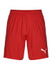 Puma Trainingsshorts TeamGoal 23 Knit in rot