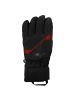 Zanier Handschuhe Rauris.GTX in Rot