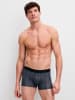 Calida New Boxer in anthrazit