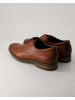 Daniel Kenneth Klassische Schnürschuhe in Braun
