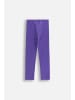 Coccodrillo Thermo-Leggings mit Langem Hosenbein in violett