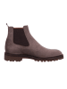 Floris van Bommel Schnürschuh in taupe