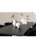 ebuy24 Essgruppe Ellis (7-teilig) Schwarz 85 x 230 cm