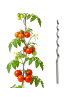 relaxdays 10 x Tomaten Spiralstab - 170 cm