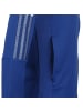 adidas Performance Trainingsjacke Tiro 21 in blau / weiß