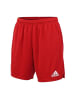 adidas Shorts Parma 16 in Rot