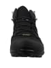 adidas Performance Halbschuhe Terrex Swift R2 GTX schwarz