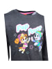 Paw Patrol Sweatshirt Paw Patrol Skye in Grau