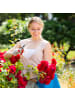 relaxdays Rosenbogen in Dunkelgrün - (B)144 x (H)270 x (T)60 cm
