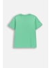 Coccodrillo Baumwoll-t-shirt mit kurzen Ärmeln in grün