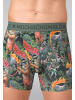 Muchachomalo 2er-Set: Boxershort in Mehrfarbig - für Herren