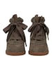 Steve Madden Sneaker MABLES Taupe