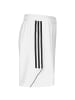 adidas Performance Trainingsshorts Tiro 23 in weiß