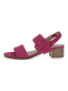 Caprice Sandalen in Fuchsia