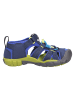 Keen Sandale in blau