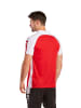 erima Herren Six Wings Poloshirt in rot/weiss