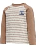 Hummel Druckknopf T-Shirt Raglanärmel Hmldesmond Jungen in BEAVER FUR