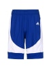 adidas Performance Trainingsshorts N3XT L3V3L Prime Game in dunkelblau / weiß