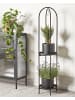 Beliani Indoor Blumentopf TAMARIX in Schwarz - (W) 35 x (H) 160 x (L) 35 cm
