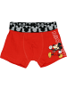 Disney Unterwäsche Minnie Mouse in rot