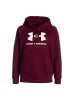 Under Armour Hoodie UA RIVAL FLEECE BIG LOGO HDY in Rot