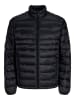 Jack & Jones Steppjacke in Black