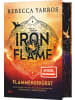 dtv Buch - Iron Flame - Flammengeküsst