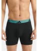 Adidas Sportswear Long Short / Pant Active Flex Cotton in Schwarz / grün / blau
