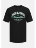 Jack & Jones T-Shirt 'Logo' 5er Pack in schwarz