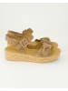 Gabor Wedges in Braun