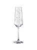 Mr. & Mrs. Panda Sektglas Avocado Party mit Spruch in Transparent