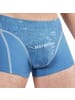 EIN SCHÖNER FLECK ERDE Boxershort 1er Pack in Morgenhorn (Himmelblau)