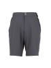 Jack Wolfskin Hose Delta Shorts Biking in Grau