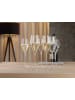 Spiegelau 2er Set Champagnergläser + Poliertuch Definition 250 ml in transparent