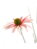 Beliani Kunstpflanze RUDBEKDARIUM in Rosa/Schwarz/Grün - (W) 45 x (H) 120 x (L) 45 cm