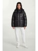 trueprodigy Winterjacke Nathan F in Schwarz
