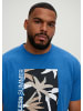 s.Oliver T-Shirt in 54D1_hellblau